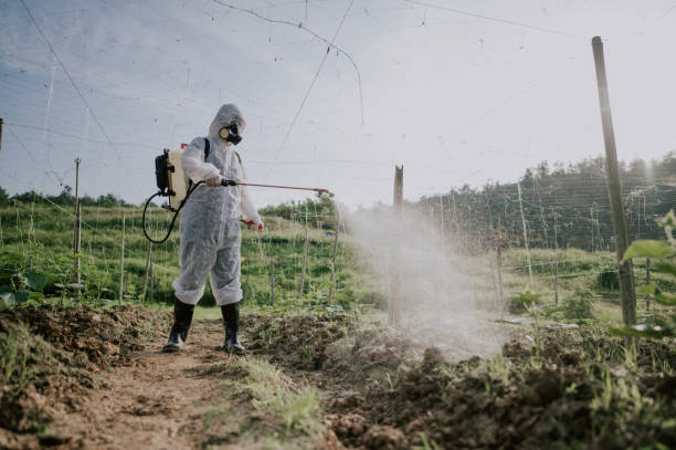 Best Ant Control Services  in South Glens Falls, NY